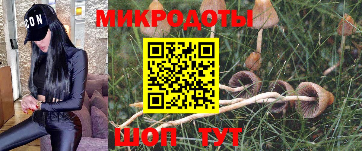 Кызыл  Псилоцибиновые грибы Psilocybine cubensis  Вход с VPN 